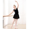 image:imageStelle Ballet Leotards for Girls Dance Leotard with Skirt Toddler Pink Ballet Outfit Ruffle Sleeve Kids Dance Dress1blackshiny Skirt