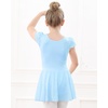 image:imageStelle Ballet Leotards for Girls Dance Leotard with Skirt Toddler Pink Ballet Outfit Ruffle Sleeve Kids Dance Dress1blueshiny Skirt