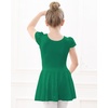 image:imageStelle Ballet Leotards for Girls Dance Leotard with Skirt Toddler Pink Ballet Outfit Ruffle Sleeve Kids Dance Dress1greenshiny Skirt