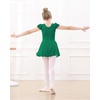 image:imageStelle Ballet Leotards for Girls Dance Leotard with Skirt Toddler Pink Ballet Outfit Ruffle Sleeve Kids Dance Dress1greenshiny Skirt