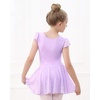 image:imageStelle Ballet Leotards for Girls Dance Leotard with Skirt Toddler Pink Ballet Outfit Ruffle Sleeve Kids Dance Dress1lavendershiny Skirt