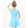 image:imageStelle Ballet Leotards for Girls Dance Leotard with Skirt Toddler Pink Ballet Outfit Ruffle Sleeve Kids Dance Dress1pool Blueshiny Skirt