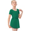 image:imageStelle Ballet Leotards for Girls Toddler Dance Dress Outfit Combo with Skirt and Tights ToddlerLittle KidBig Kid1green