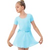 image:imageStelle Ballet Leotards for Girls Toddler Dance Dress Outfit Combo with Skirt and Tights ToddlerLittle KidBig Kid1pool Bule