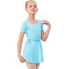 image:imageStelle Ballet Leotards for Girls Toddler Dance Dress Outfit Combo with Skirt and Tights ToddlerLittle KidBig Kid1pool Bule