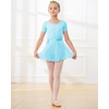 image:imageStelle Ballet Leotards for Girls Toddler Dance Dress Outfit Combo with Skirt and Tights ToddlerLittle KidBig Kid1pool Bule