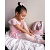 image:imageStelle Ballet Leotards for Girls Toddler Dance Dress Outfit Combo with Skirt and Tights ToddlerLittle KidBig Kid3ballet Pink Ruffle Sleeve