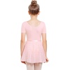image:imageStelle Ballet Leotards for Girls Toddler Dance Dress Outfit Combo with Skirt and Tights ToddlerLittle KidBig Kid4ballet Pink Shiny Skirt