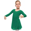 image:imageStelle Ballet Leotards for Girls Toddler Dance Dress Outfit Combo with Skirt and Tights ToddlerLittle KidBig KidGreen
