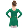 image:imageStelle Ballet Leotards for Girls Toddler Dance Dress Outfit Combo with Skirt and Tights ToddlerLittle KidBig KidGreen