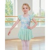 image:imageStelle Ballet Leotards for Girls Toddler Dance Leotard Shiny Flutter Sleeve Ballet Dresses Gymnastic Ballerina OutfitButterfly Mist