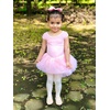 image:imageStelle Ballet Leotards for Girls Toddler Leotard with Tutu Skirt Dance Tutu Dress LittleBig Kid01ballet Pink