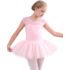 image:imageStelle Ballet Leotards for Girls Toddler Leotard with Tutu Skirt Dance Tutu Dress LittleBig Kid01ballet Pink