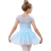 image:imageStelle Ballet Leotards for Girls Toddler Leotard with Tutu Skirt Dance Tutu Dress LittleBig Kid01blue