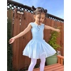 image:imageStelle Ballet Leotards for Girls Toddler Leotard with Tutu Skirt Dance Tutu Dress LittleBig Kid01blue