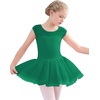 image:imageStelle Ballet Leotards for Girls Toddler Leotard with Tutu Skirt Dance Tutu Dress LittleBig Kid01green