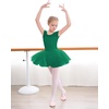image:imageStelle Ballet Leotards for Girls Toddler Leotard with Tutu Skirt Dance Tutu Dress LittleBig Kid01green