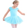 image:imageStelle Ballet Leotards for Girls Toddler Leotard with Tutu Skirt Dance Tutu Dress LittleBig Kid01pool Blue