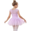 image:imageStelle Ballet Leotards for Girls Toddler Leotard with Tutu Skirt Dance Tutu Dress LittleBig Kid01purple