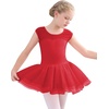 image:imageStelle Ballet Leotards for Girls Toddler Leotard with Tutu Skirt Dance Tutu Dress LittleBig Kid01red