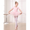 image:imageStelle Girls Ballet Leotards Toddler Dance Outfit Combo with Pull on Skirt and Tights ToddlerLittle KidBig Kid02ballet Pink Shiny Tutu Skirt