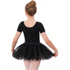 image:imageStelle Girls Ballet Leotards Toddler Dance Outfit Combo with Pull on Skirt and Tights ToddlerLittle KidBig Kid03black Tutu Skirt