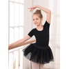 image:imageStelle Girls Ballet Leotards Toddler Dance Outfit Combo with Pull on Skirt and Tights ToddlerLittle KidBig Kid03black Tutu Skirt