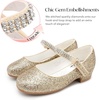 image:imageStelle Girls Mary Jane Dress Shoes Low Heel Glitter Patent Bow Kids Party Wedding Flower Girl School ShoesToddlerLittleBig KidGlitter Mary Janegoldchain
