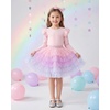 image:imageStelle Girls Tutu Skirt 5 Layers Fluffy Tulle Dance Ballet Skirt Princess Birthday Party CostumePink Ombre