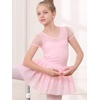 image:imageStelle Puff Sleeve Ballet Leotards for Girls with Sparkly Tutu Skirted Toddler Dance Dress Outfit01puff Sleeveballet Pink