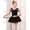 image:imageStelle Puff Sleeve Ballet Leotards for Girls with Sparkly Tutu Skirted Toddler Dance Dress Outfit01puff Sleeveblack