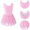 image:imageStelle Puff Sleeve Ballet Leotards for Girls with Sparkly Tutu Skirted Toddler Dance Dress Outfit02sleevelessballet Pink