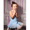 image:imageStelle Toddler Ballet Leotards for GirlsDance Leotard for GirlsCamisole Toddler Ballet Outfit for Studio Outdoor Daily WearStyle 1blue