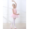 image:imageStelle Toddler Ballet Leotards for GirlsDance Leotard for GirlsCamisole Toddler Ballet Outfit for Studio Outdoor Daily WearStyle 2ballet Pink Tutu