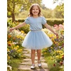 image:imageStelle Tutu for Girls Sequin Skirt with Elastic Waist Layered Tulle Ballet Dance Princess Dress Birthday OutfitIcy Blue