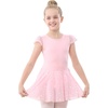 1-ballet Pink(shiny Skirt)