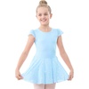 1-blue(shiny Skirt)