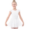 image:imageStelle Ballet Leotards for Girls Dance Leotard with Skirt Toddler Pink Ballet Outfit Ruffle Sleeve Kids Dance Dress1whiteshiny Skirt