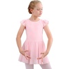 image:imageStelle Ballet Leotards for Girls Dance Leotard with Skirt Toddler Pink Ballet Outfit Ruffle Sleeve Kids Dance Dress2ballet Pink