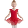 image:imageStelle Girls Flutter Sleeve Ballet Leotards Toddler Shimmering Dance Outfits Sequin Tutu Skirted Leotard Ballerina DressRed