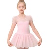 01-puff Sleeve-ballet Pink