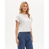 image:imageStelle Womens Short Sleeve Crewneck TShirts Cotton Basic Tees Summer Casual Solid Crop TopsWhite