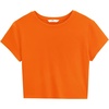 image:imageStelle Womens Short Sleeve Crop Tops Crewneck Basic T Shirts Cute Going Out Baby TeeOrange