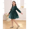 image:imageStelle Girls Long Sleeve Velvet Dress with Pockets 515 Years  Bell SleeveKnee LengthRibbedA LineTwirly DressHigh WaistFallWinter DressHolidayChristmasNew Years EvePartyPeacock Blue