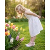 image:imageStelle Girls Low Heel Dress Shoes with Detachable Bow for Wedding PartyRainbow