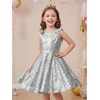 image:imageStelle Girls Sequin Dress Sleeveless ALine Sparkly Dresses 515 Y  Bow on Shoulder Zipper BackFully LiningScoop NeckTwirlyBirthday Formal Party Fancy Graduation Wedding Christmas HolidaySiliver