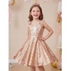 image:imageStelle Girls Sequin Dress Sleeveless ALine Sparkly Dresses 515 Y  Bow on Shoulder Zipper BackFully LiningScoop NeckTwirlyBirthday Formal Party Fancy Graduation Wedding Christmas HolidayRose Gold