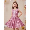 image:imageStelle Girls Sequin Dress Sleeveless ALine Sparkly Dresses 515 Y  Bow on Shoulder Zipper BackFully LiningScoop NeckTwirlyBirthday Formal Party Fancy Graduation Wedding Christmas HolidayPink