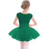 image:imageStelle Ballet Leotards for Girls with Tutu Skirt Ballerina Dance Costumes  Ballet tutu dress Soft stretch fabric Breathable comfort Tulle skirt Ballerina outfit Dance Performance Party01green