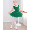 image:imageStelle Ballet Leotards for Girls with Tutu Skirt Ballerina Dance Costumes  Ballet tutu dress Soft stretch fabric Breathable comfort Tulle skirt Ballerina outfit Dance Performance Party01green
